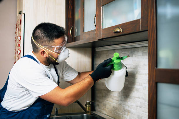 Best Pest Inspection Near Me  in Edina, MO