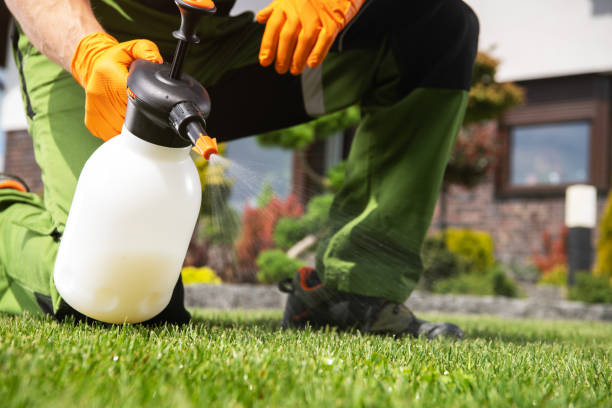 Reliable Edina, MO Pest Control Solutions