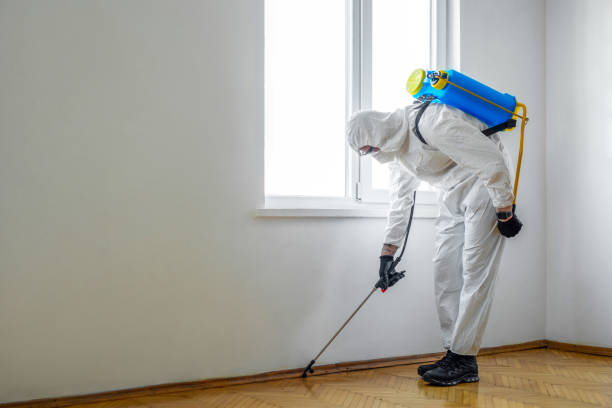 Best Best Pest Control Companies  in Edina, MO