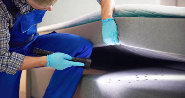 Best Residential Pest Control  in Edina, MO