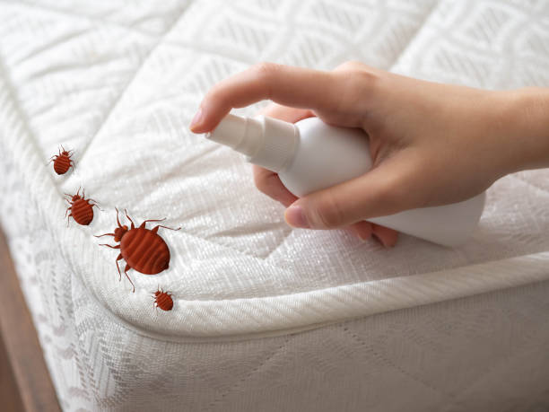 Best Best Pest Control Companies  in Edina, MO