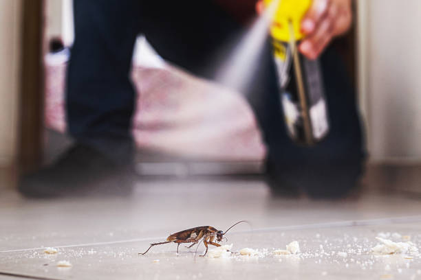 Best Pest Control Near Me  in Edina, MO