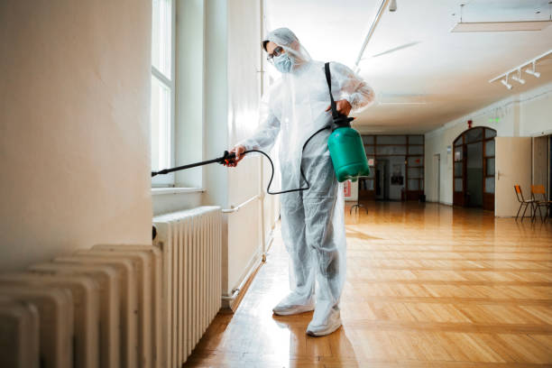 Best Residential Pest Control  in Edina, MO